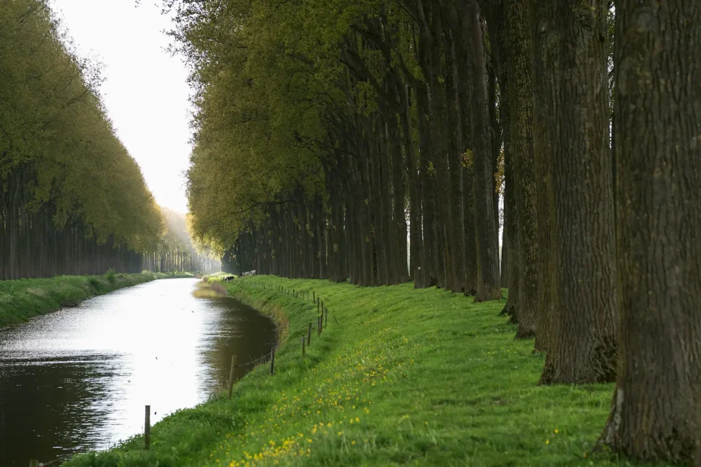 escapade en Normandie canal bordé d’arbres slow tourisme