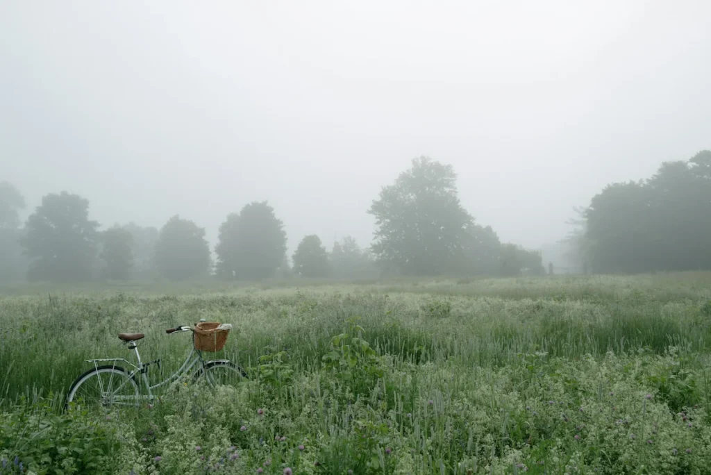 Escapade en Normandie vélo dans un champ brumeux ambiance slow tourisme