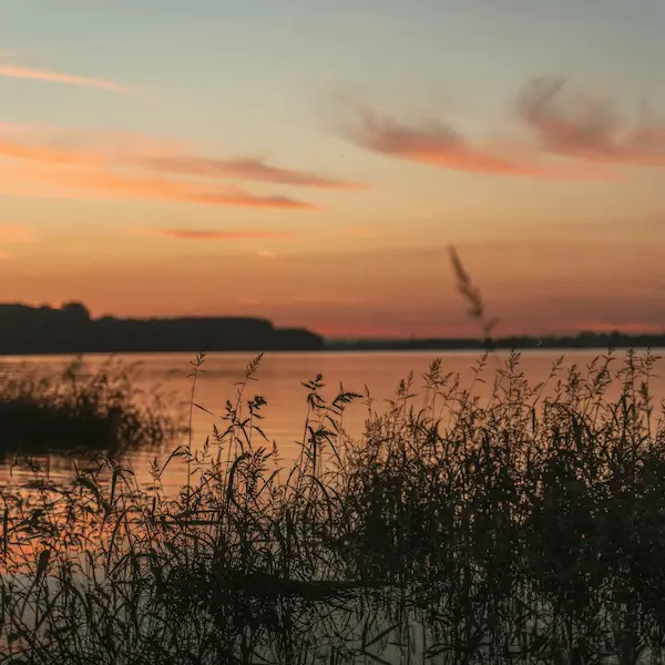 Coucher de soleil flamboyant sur les étangs de Camargue lors d'une escapade slow tourisme en Provence.