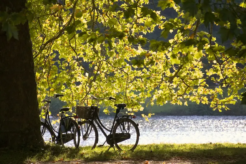 Deux vélos posés sous un arbre au bord de l'eau — Contact Slow Évasion